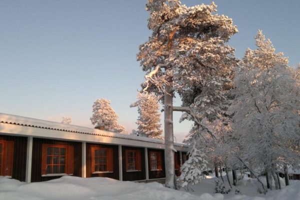 Wilderness Hotel Kieppi Buitenaanzicht Kamers