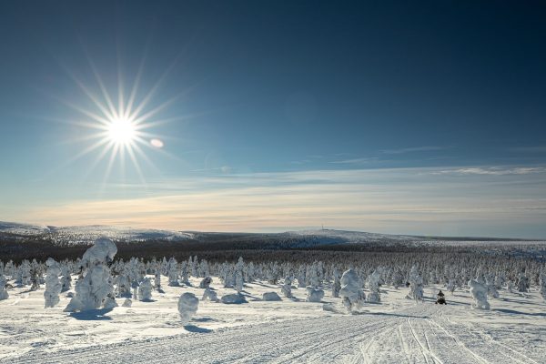 Wilderness Hotel Kieppi zicht op besneeuwde heuvel