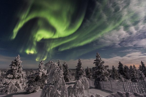 Wilderness Hotels Kieppi Noorderlicht in omgeving