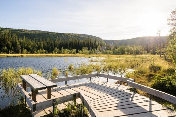 Flonder naast meer in Zweden