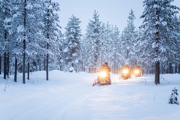 Sneeuwscootertocht in besneeuwde bossen van Zweeds Lapland