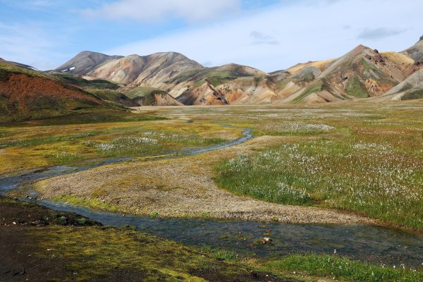 Beekje Landmannalaugar met op de achtergrond rhyolietbergen