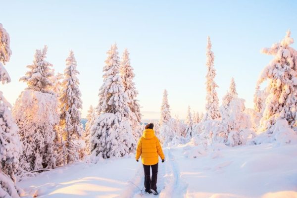 Besneeuwd landschap met wandelaar in gele jas