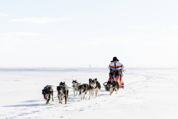 Huskysafari bij Nordic Lapland