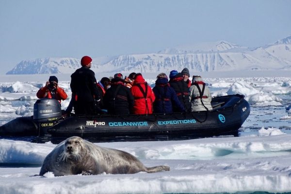 Varen langs een zeehond op expeditie.